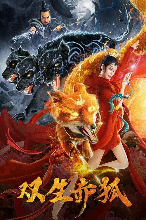 Póster de 双生赤狐