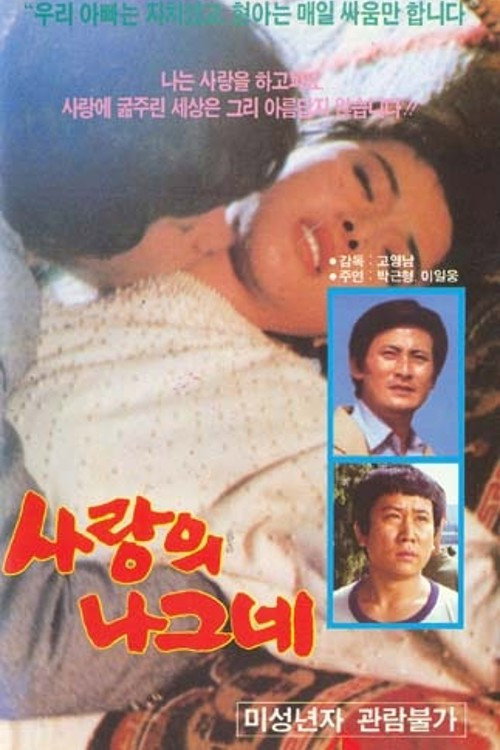 Póster de 사랑의 나그네
