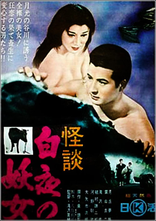 Póster de 白夜の妖女