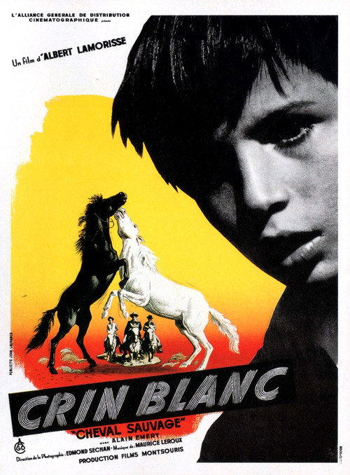 Póster de Crin blanc: Le cheval sauvage