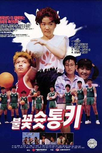 Póster de 불꽃 슛 통키