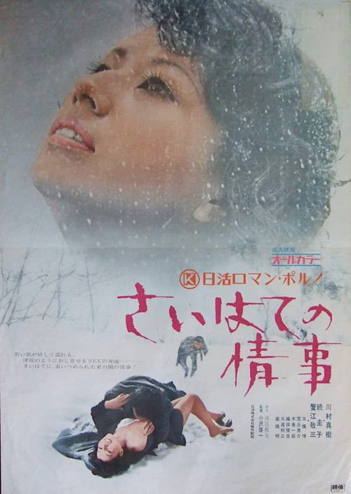 Póster de さいはての情事