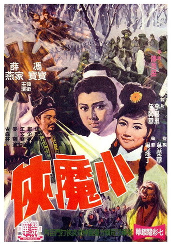 Póster de 小武士