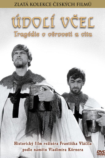 Póster de Údolí včel