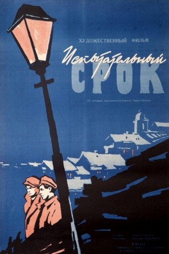 Póster de Испытательный срок