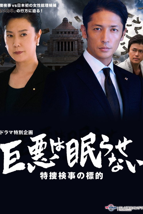 Póster de 巨悪は眠らせない 特捜検事の標的