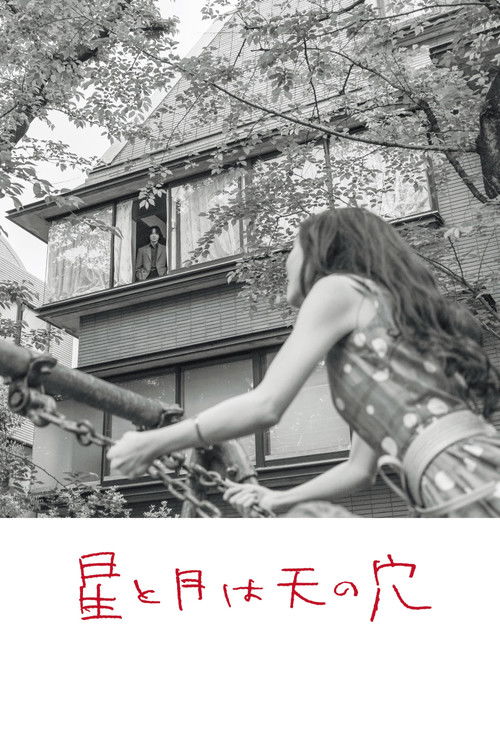 Póster de 星と月は天の穴