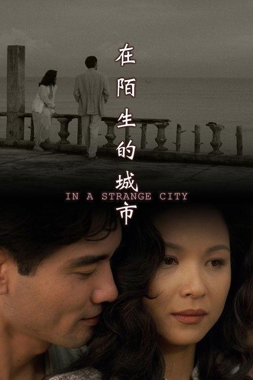 Póster de 在陌生的城市