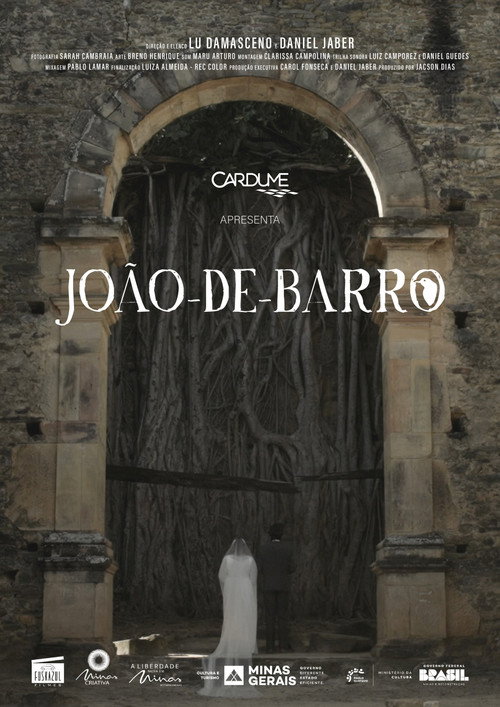 Póster de João-de-Barro