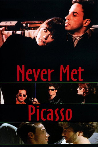 Póster de Never Met Picasso