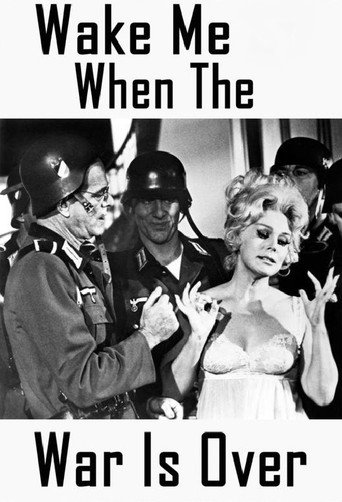 Póster de Wake Me When the War Is Over