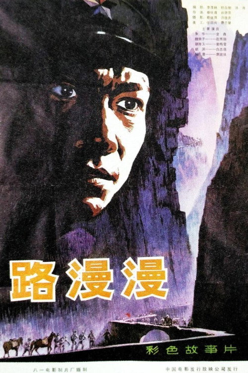 Póster de 路漫漫