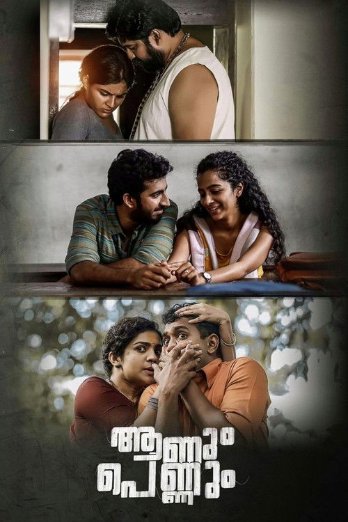 Póster de ആണും പെണ്ണും