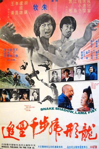 Póster de 龍形虎步千里追