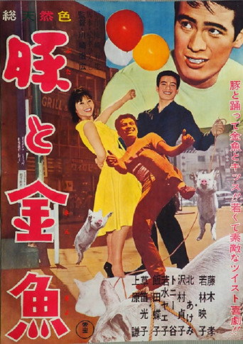 Póster de 豚と金魚