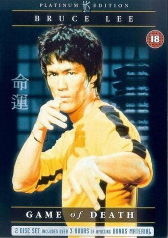 Póster de Legacy of the Dragon