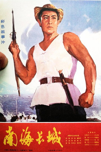 Póster de 南海长城