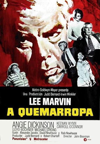 Póster de A Quemarropa