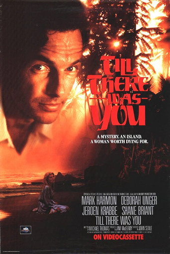 Póster de Till There Was You