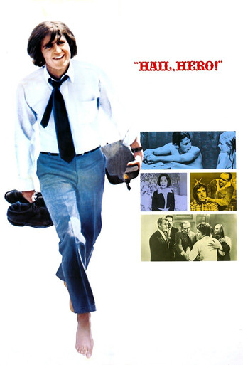 Póster de Hail, Hero!