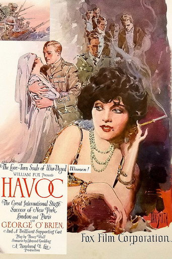 Póster de Havoc