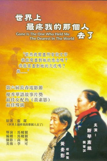 Póster de 世界上最疼我的那个人去了
