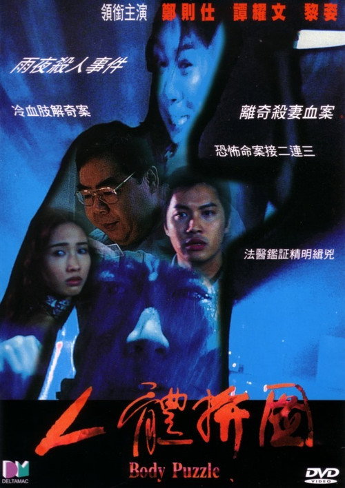Póster de 人體拼圖