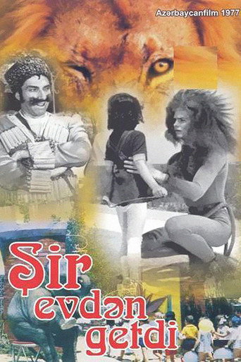 Póster de Şir evdən getdi