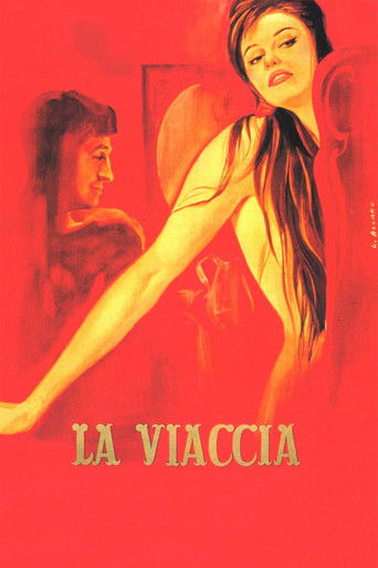 Póster de La viaccia