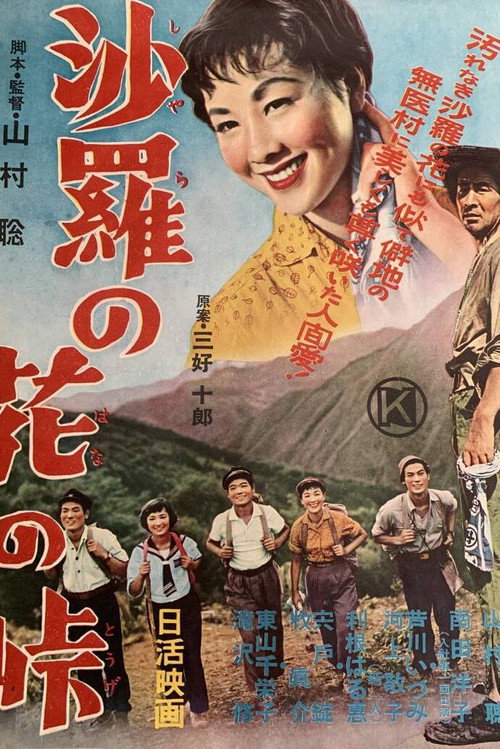 Póster de 沙羅の花の峠