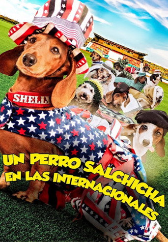 Póster de Un perro salchicha en las internacionales