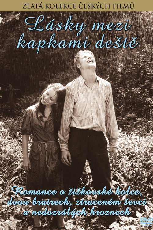 Póster de Lásky mezi kapkami deště
