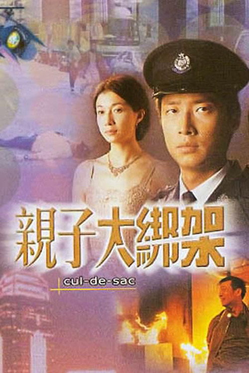 Póster de 親子大綁架
