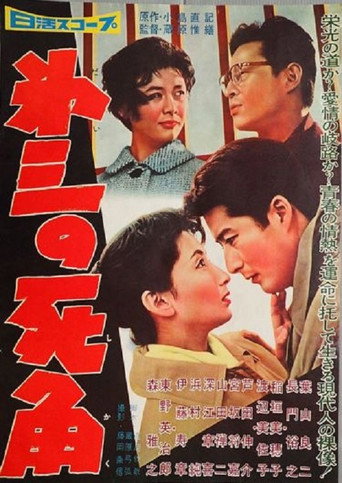 Póster de 第三の死角