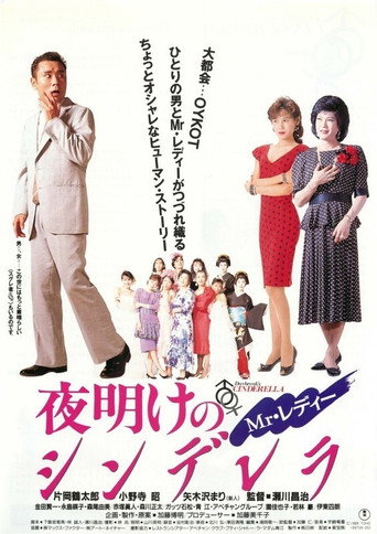 Póster de Mr.レディー 夜明けのシンデレラ