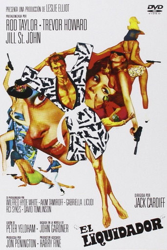 Póster de The Liquidator