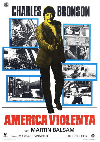 Póster de The Stone Killer