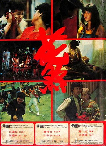 Póster de 花煞