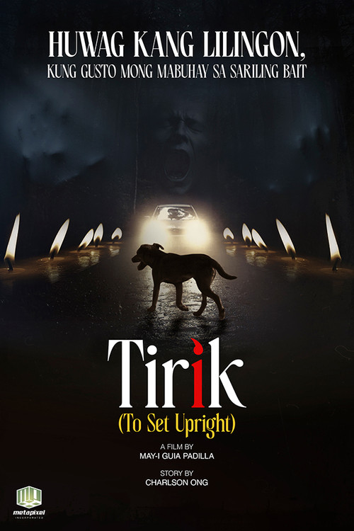 Póster de Tirik