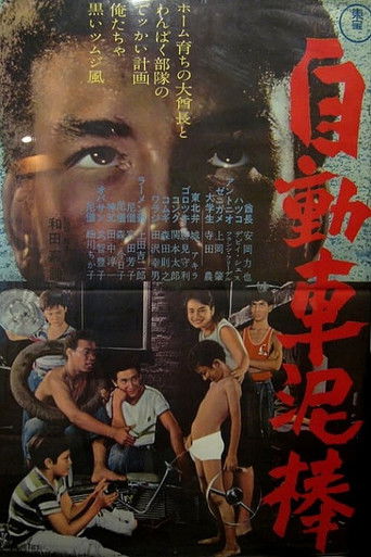 Póster de 自動車泥棒