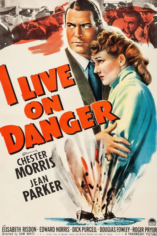 Póster de I Live on Danger