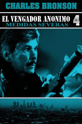 Póster de El vengador anónimo 4: El regreso del justiciero