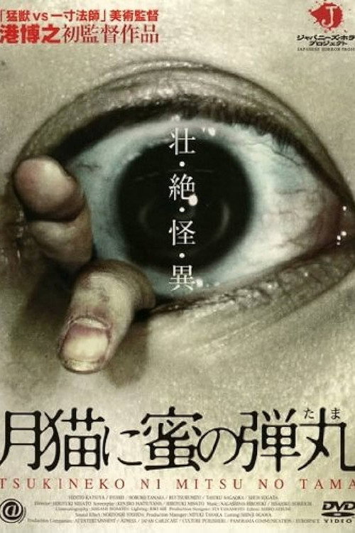 Póster de 月猫に蜜の弾丸