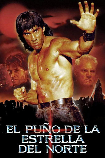 Póster de Fist of the North Star