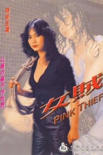 Póster de 女賊