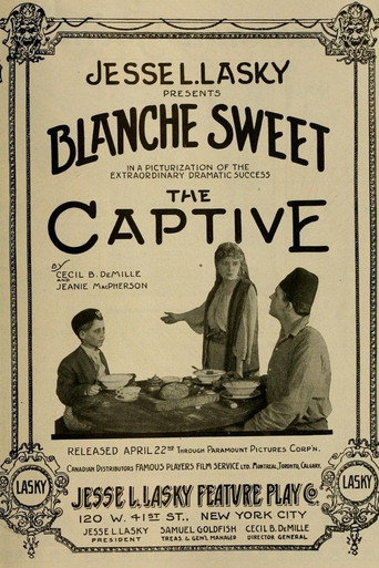 Póster de The Captive