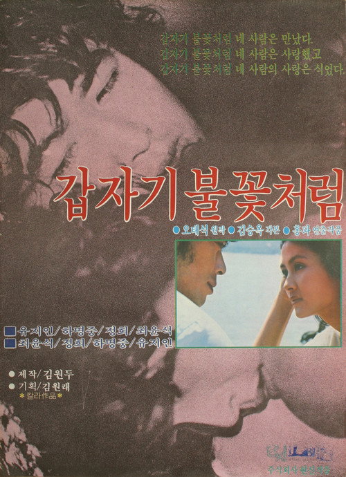 Póster de 갑자기 불꽃처럼
