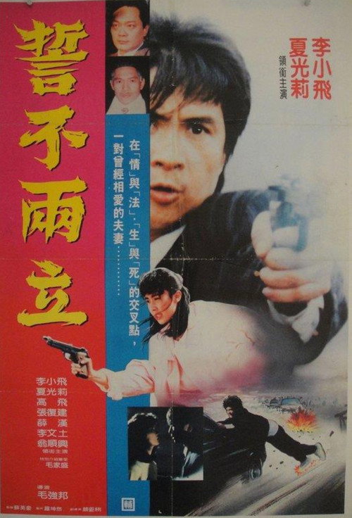 Póster de 誓不兩立