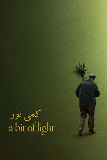 Póster de A Bit of Light