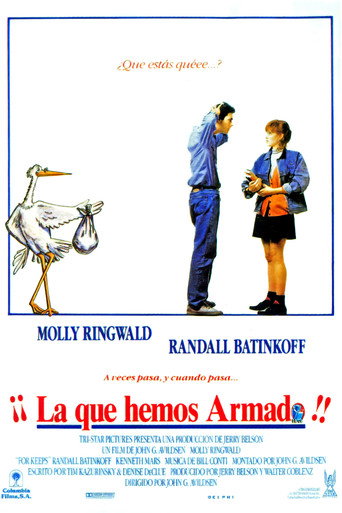 Póster de La cigüeña no espera